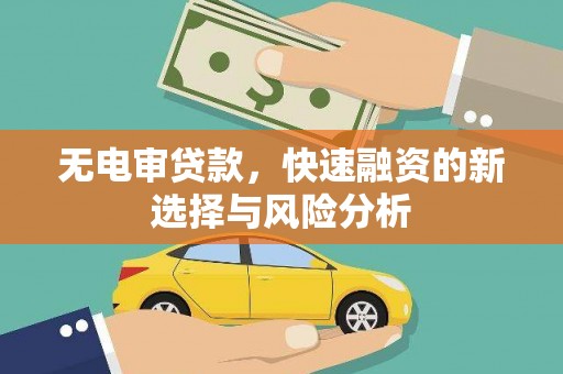 南岳无电审贷款，快速融资的新选择与风险分析