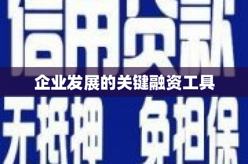 南岳企业发展的关键融资工具