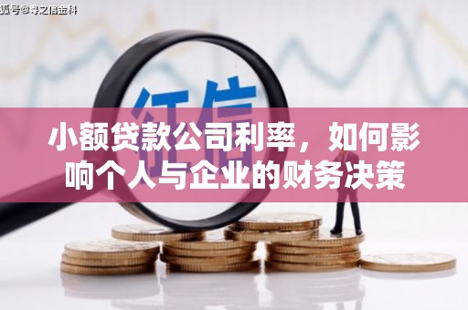 南岳小额贷款公司利率，如何影响个人与企业的财务决策