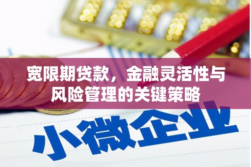 南岳宽限期贷款，金融灵活性与风险管理的关键策略