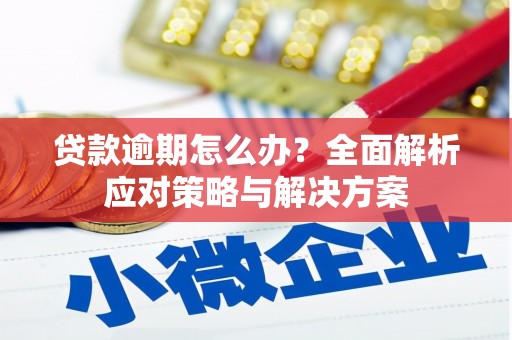 南岳贷款逾期怎么办？全面解析应对策略与解决方案