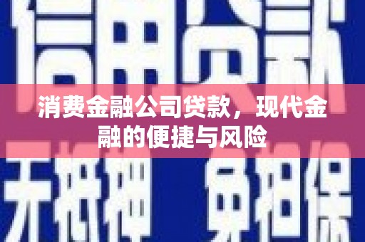 南岳消费金融公司贷款，现代金融的便捷与风险