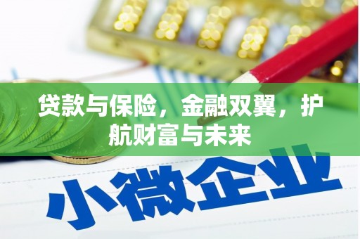南岳贷款与保险，金融双翼，护航财富与未来