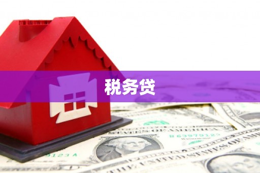 南岳税务贷