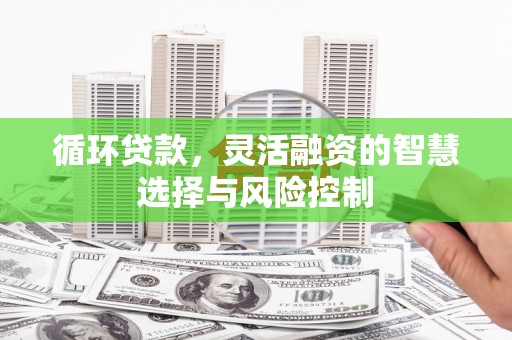 南岳循环贷款，灵活融资的智慧选择与风险控制