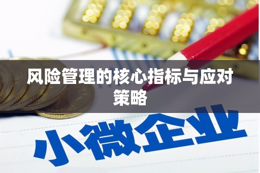 南岳风险管理的核心指标与应对策略