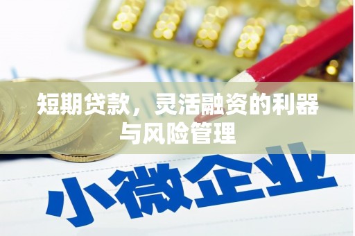 南岳短期贷款，灵活融资的利器与风险管理