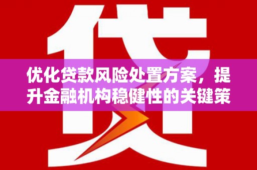 南岳优化贷款风险处置方案，提升金融机构稳健性的关键策略