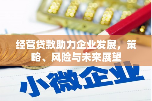 南岳经营贷款助力企业发展，策略、风险与未来展望