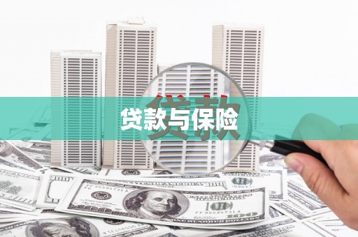 南岳贷款与保险