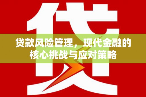 南岳贷款风险管理，现代金融的核心挑战与应对策略