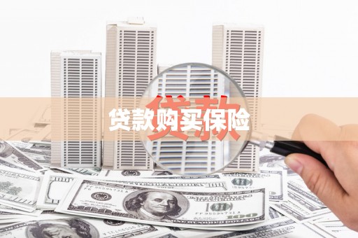 南岳贷款购买保险