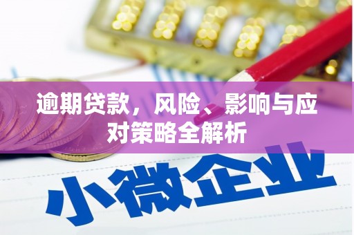 南岳逾期贷款，风险、影响与应对策略全解析