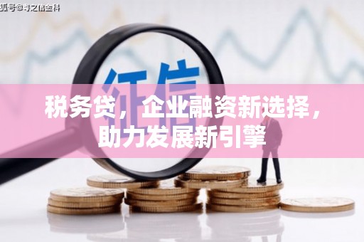 南岳税务贷，企业融资新选择，助力发展新引擎