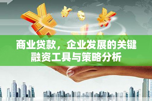 南岳商业贷款，企业发展的关键融资工具与策略分析