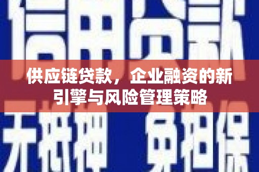 南岳供应链贷款，企业融资的新引擎与风险管理策略