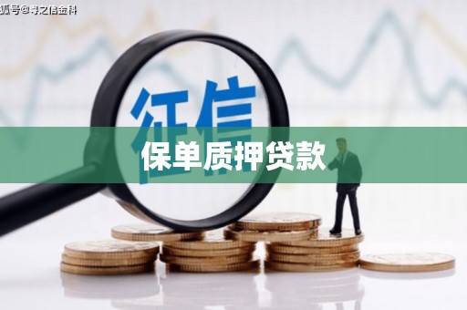 南岳保单质押贷款