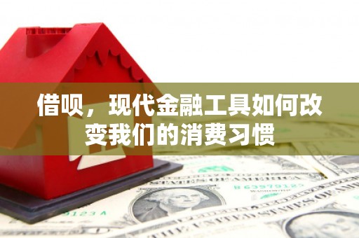 南岳借呗，现代金融工具如何改变我们的消费习惯
