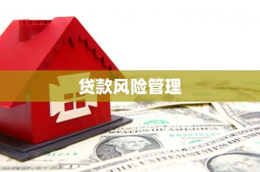 南岳贷款风险管理
