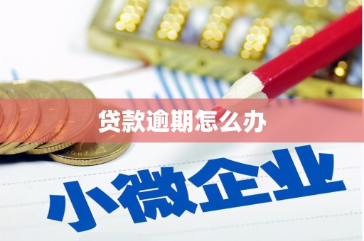 南岳贷款逾期怎么办