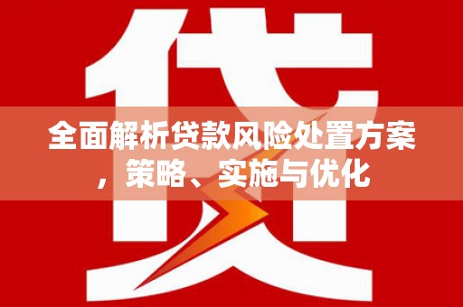 南岳全面解析贷款风险处置方案，策略、实施与优化
