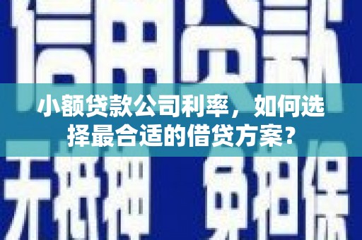 南岳小额贷款公司利率，如何选择最合适的借贷方案？