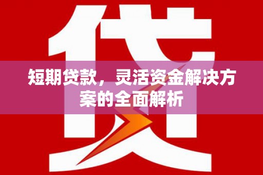 南岳短期贷款，灵活资金解决方案的全面解析