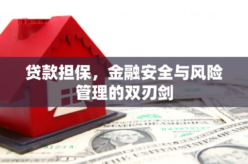 南岳贷款担保，金融安全与风险管理的双刃剑