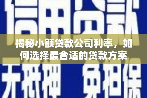 南岳揭秘小额贷款公司利率，如何选择最合适的贷款方案