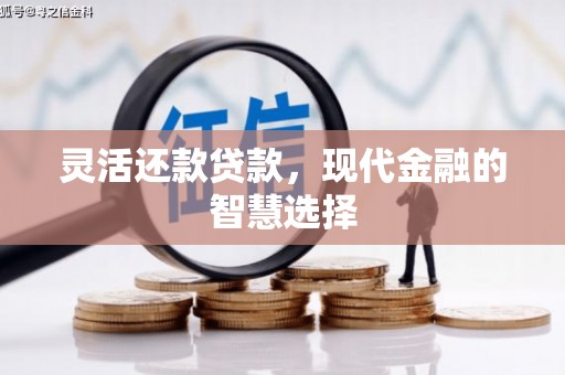 南岳灵活还款贷款，现代金融的智慧选择