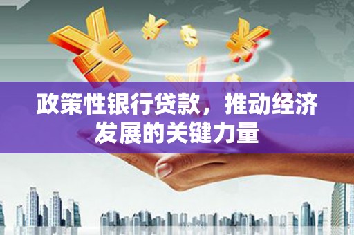 南岳政策性银行贷款，推动经济发展的关键力量