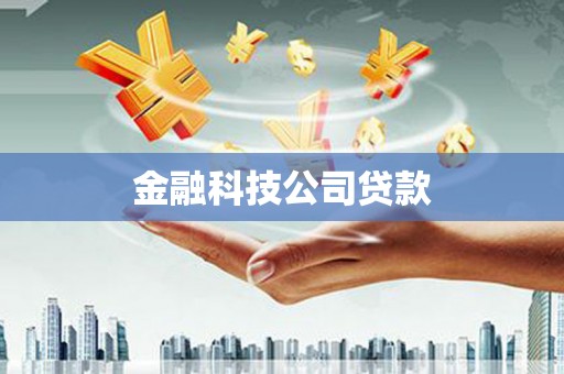 南岳金融科技公司贷款