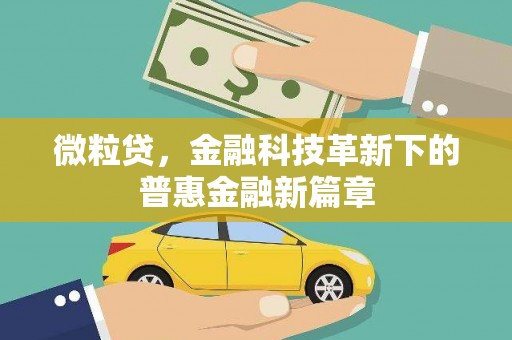 南岳微粒贷，金融科技革新下的普惠金融新篇章