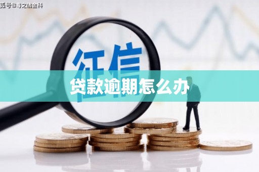 南岳贷款逾期怎么办
