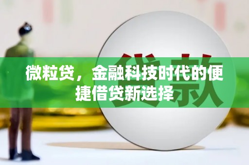 南岳微粒贷，金融科技时代的便捷借贷新选择