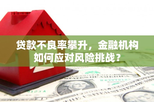 南岳贷款不良率攀升，金融机构如何应对风险挑战？