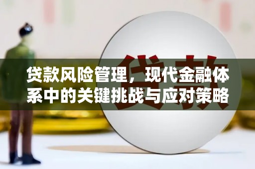 南岳贷款风险管理，现代金融体系中的关键挑战与应对策略