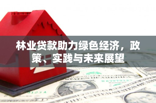 南岳林业贷款助力绿色经济，政策、实践与未来展望