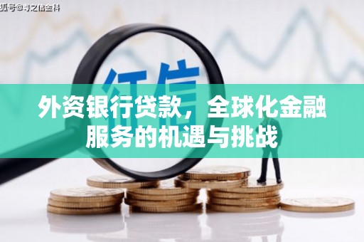南岳外资银行贷款，全球化金融服务的机遇与挑战