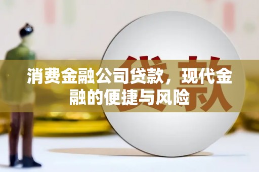 南岳消费金融公司贷款，现代金融的便捷与风险