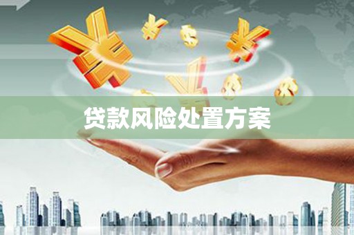 南岳贷款风险处置方案