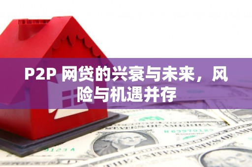 南岳P2P 网贷的兴衰与未来，风险与机遇并存