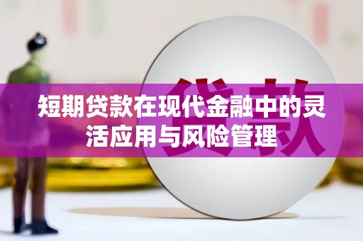 南岳短期贷款在现代金融中的灵活应用与风险管理