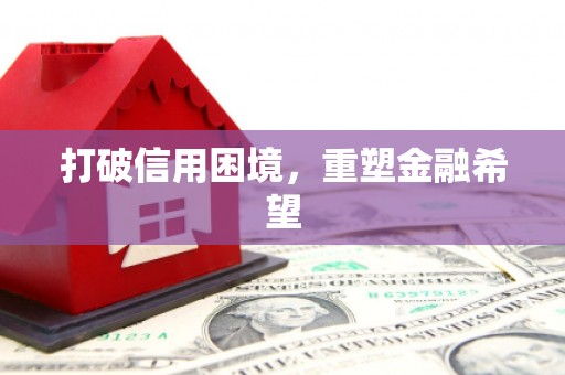 南岳打破信用困境，重塑金融希望