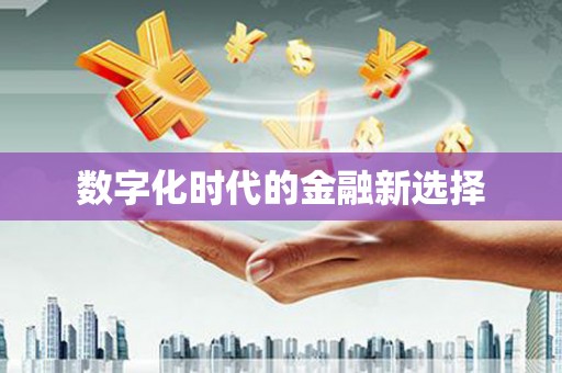 南岳数字化时代的金融新选择
