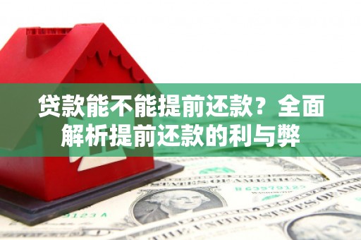 南岳贷款能不能提前还款？全面解析提前还款的利与弊
