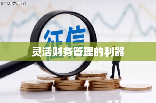 南岳灵活财务管理的利器