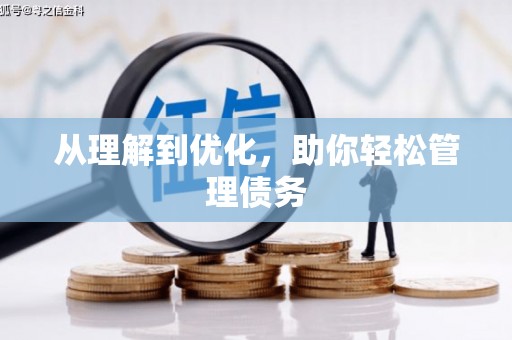 南岳从理解到优化，助你轻松管理债务