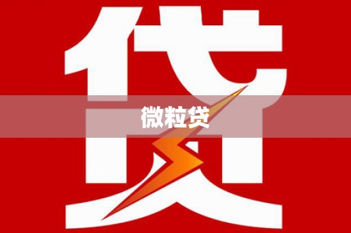 南岳微粒贷