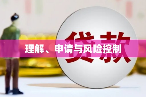 南岳理解、申请与风险控制